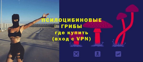 ALPHA PVP Усмань
