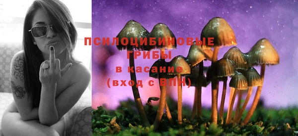 mdpv Братск