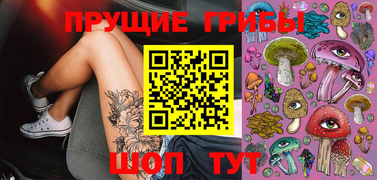 Псилоцибиновые грибы прущие грибы  Раменское  Галлюциногенные грибы Psilocybine cubensis 