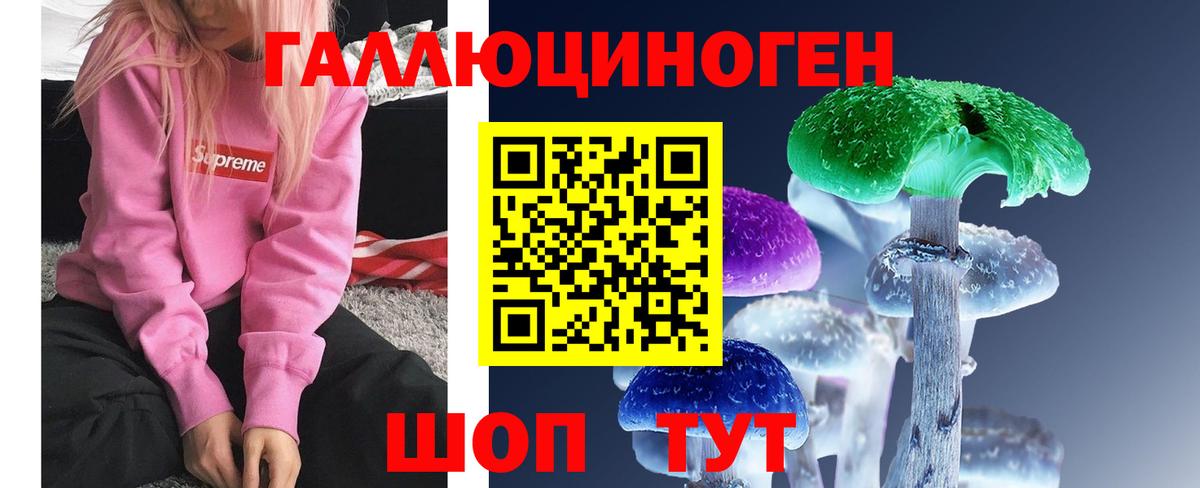 Раменское  Псилоцибиновые грибы MAGIC MUSHROOMS  Вход с VPN 