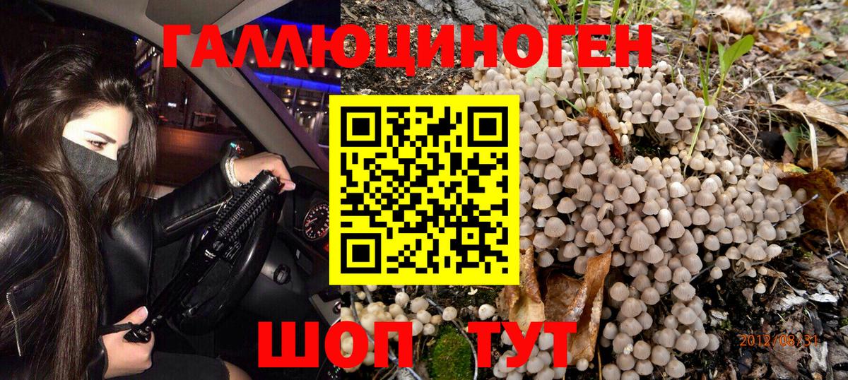Псилоцибиновые грибы Cubensis Раменское